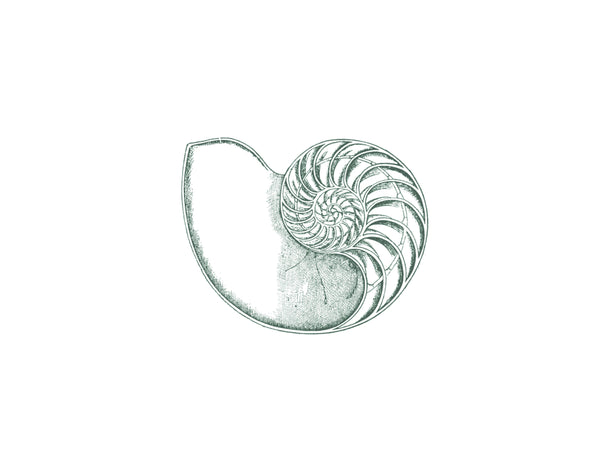 BEACHSIDE NAUTILUS