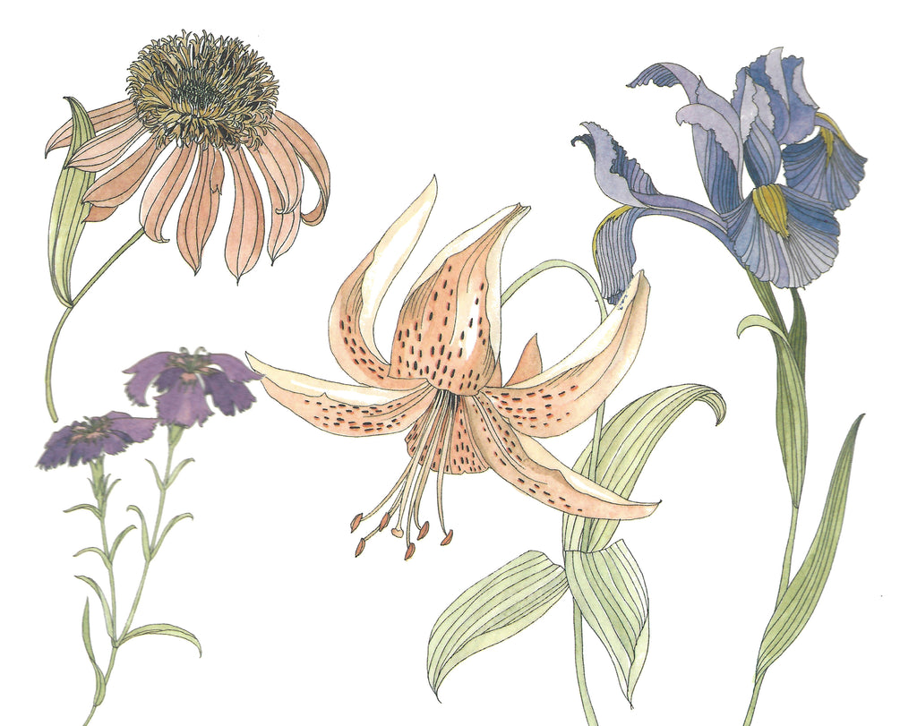 Sweet Posies 1