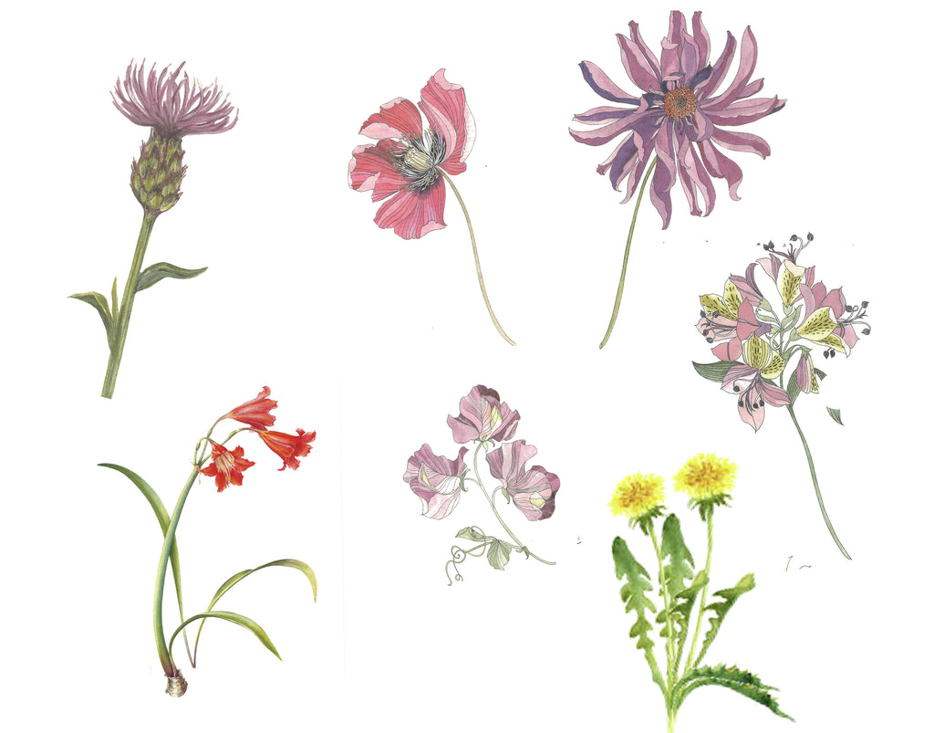 Sweet Posies 3
