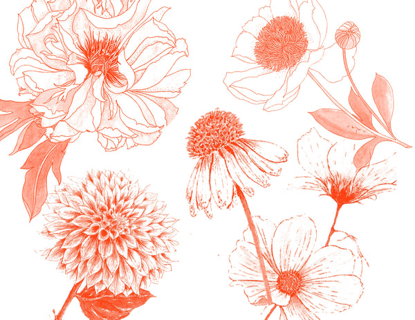Red Blooms