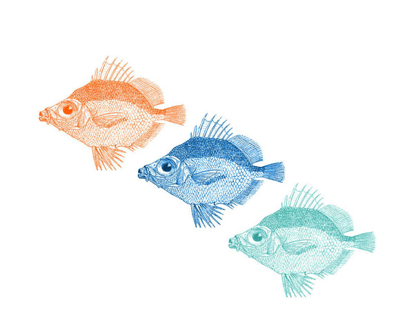 Big Fish