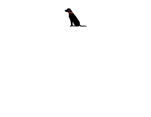 Black Lab