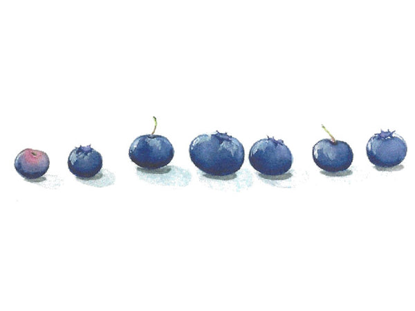 Blueberries