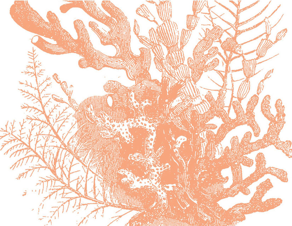 Coral Bouquet Letterpress