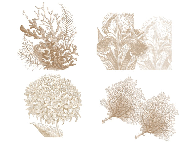 Mixed Sepia Floral & Costal Set