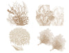 Mixed Sepia Floral & Costal Set