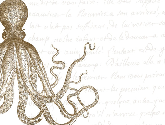 Octopus Sepia