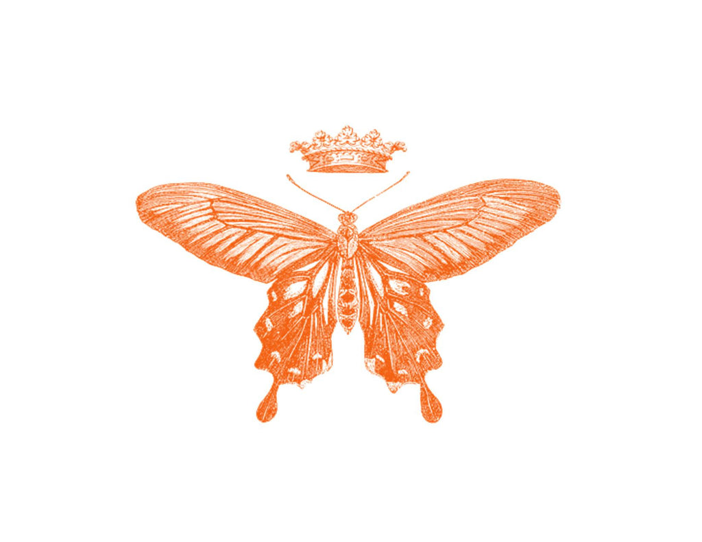Queen Butterfly