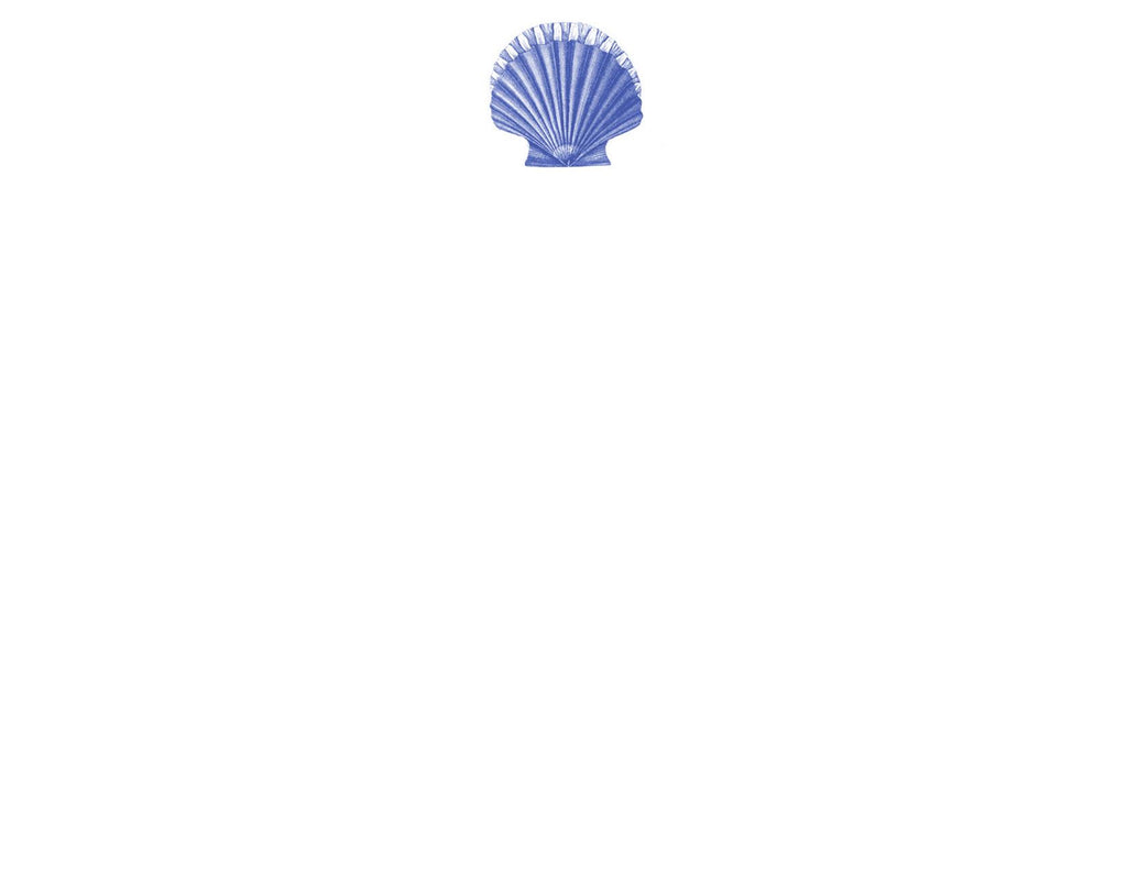 Scallop