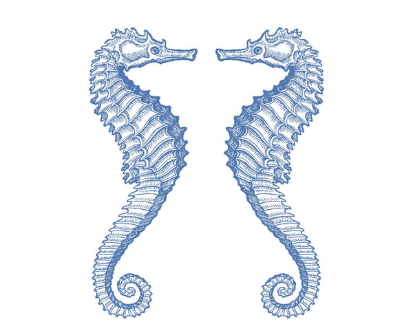 Seahorses