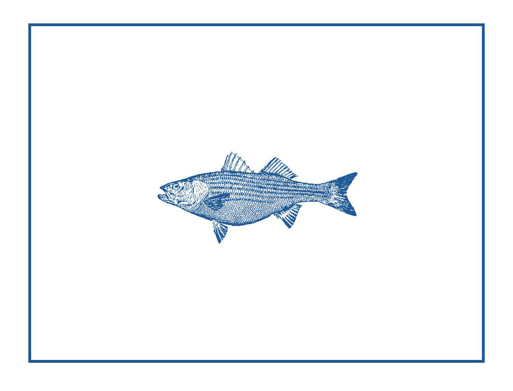 Striper